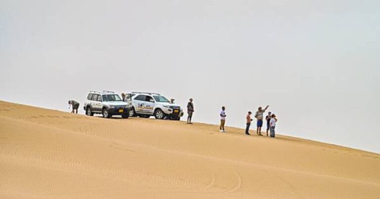 Desert Safari Experience