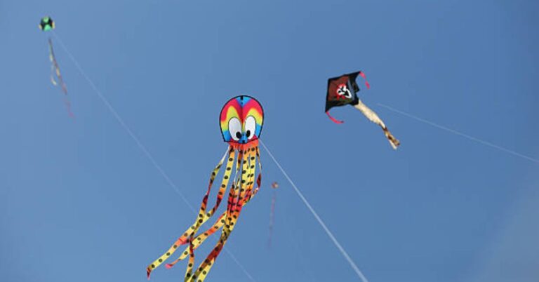 Kite Festival Miami